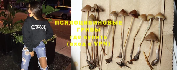 PSILOCYBIN Беломорск